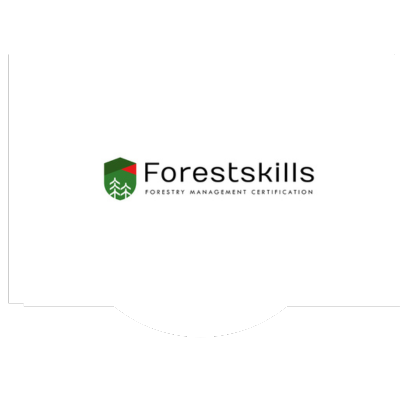 blocksure_forest skills